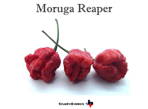 Moruga Reaper