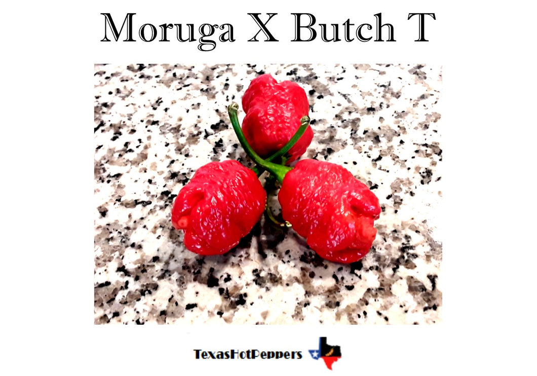 Moruga X Butch T Seeds