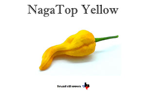 NagaTop Yellow