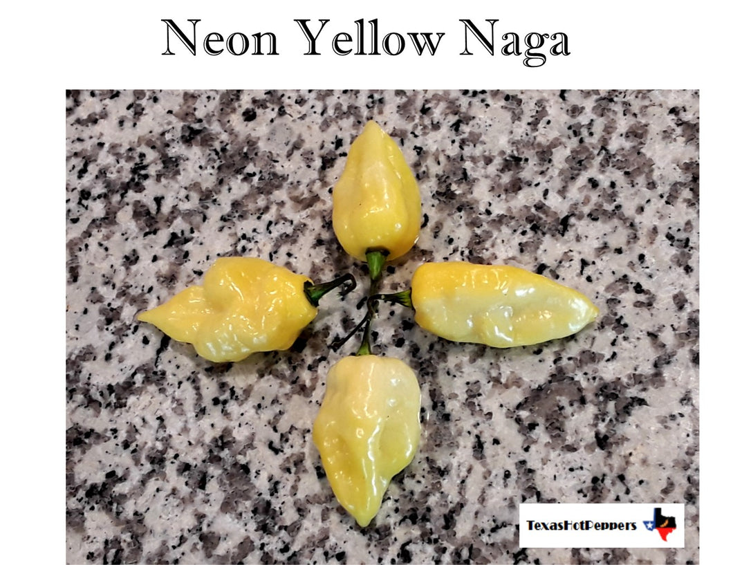 Neon Yellow Naga