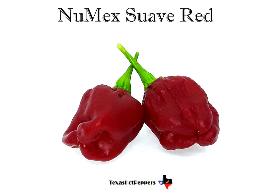NuMex Suave Red