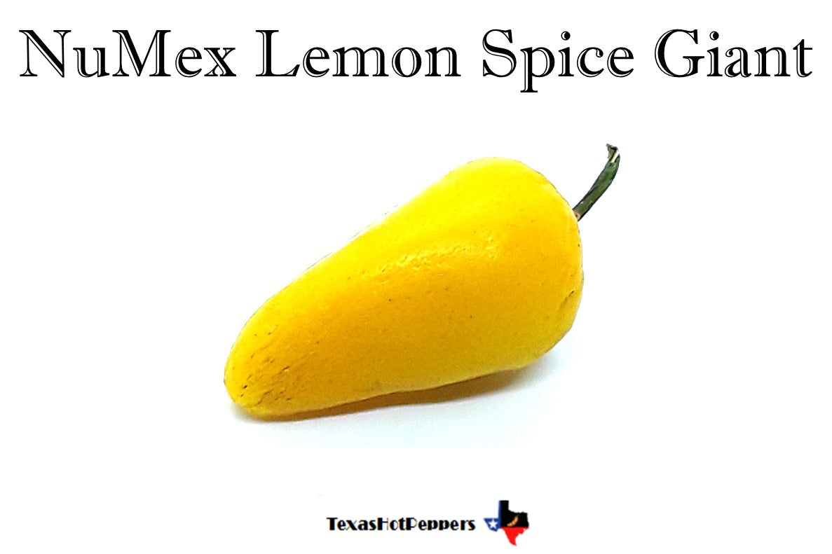 NuMex Lemon Spice Giant – Texas Hot Peppers