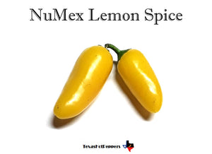 NuMex Lemon Spice