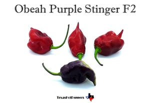Obeah Purple Stinger F2
