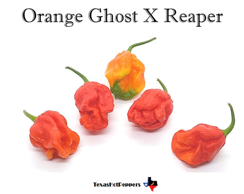 Orange Ghost X Reaper