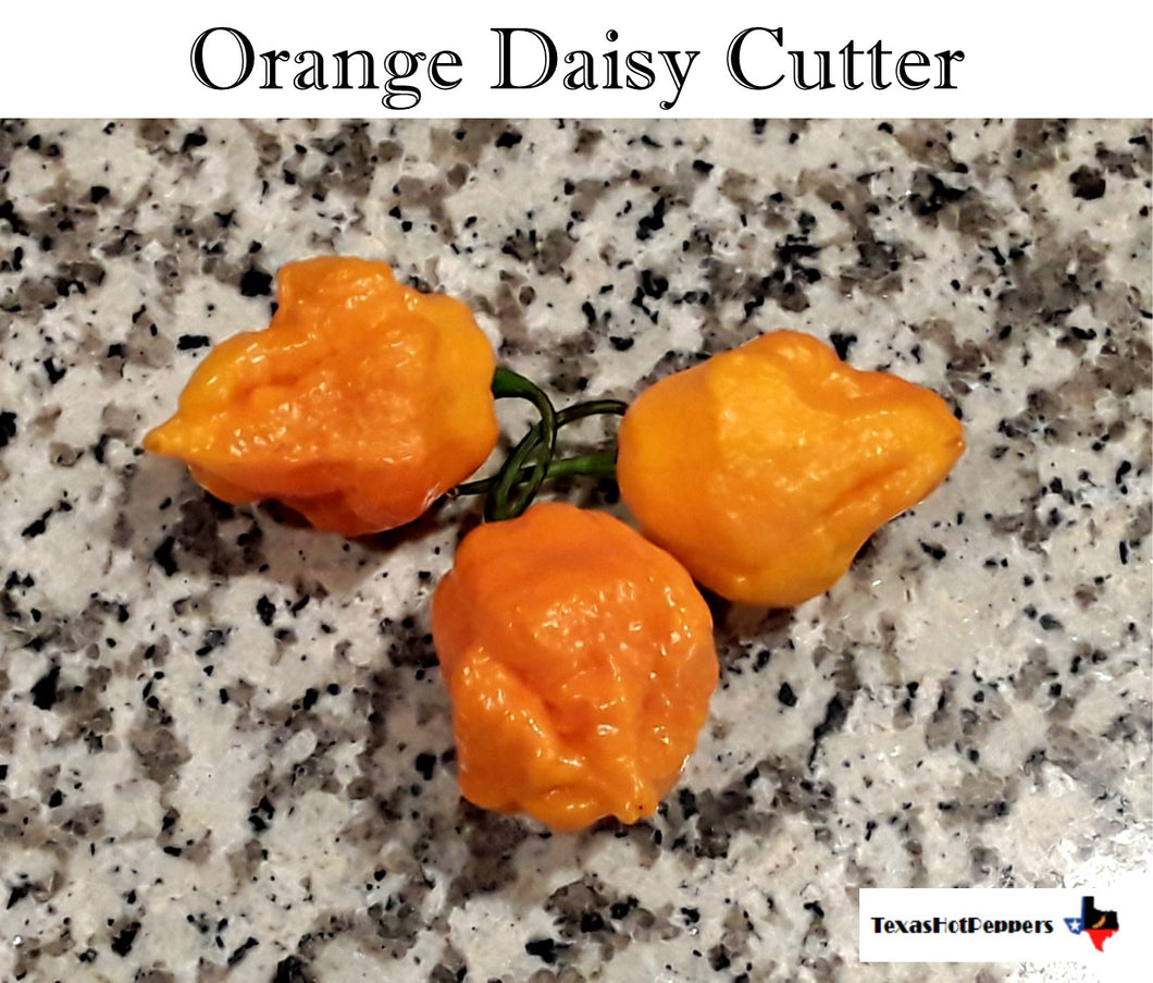 Orange Daisy Cutter