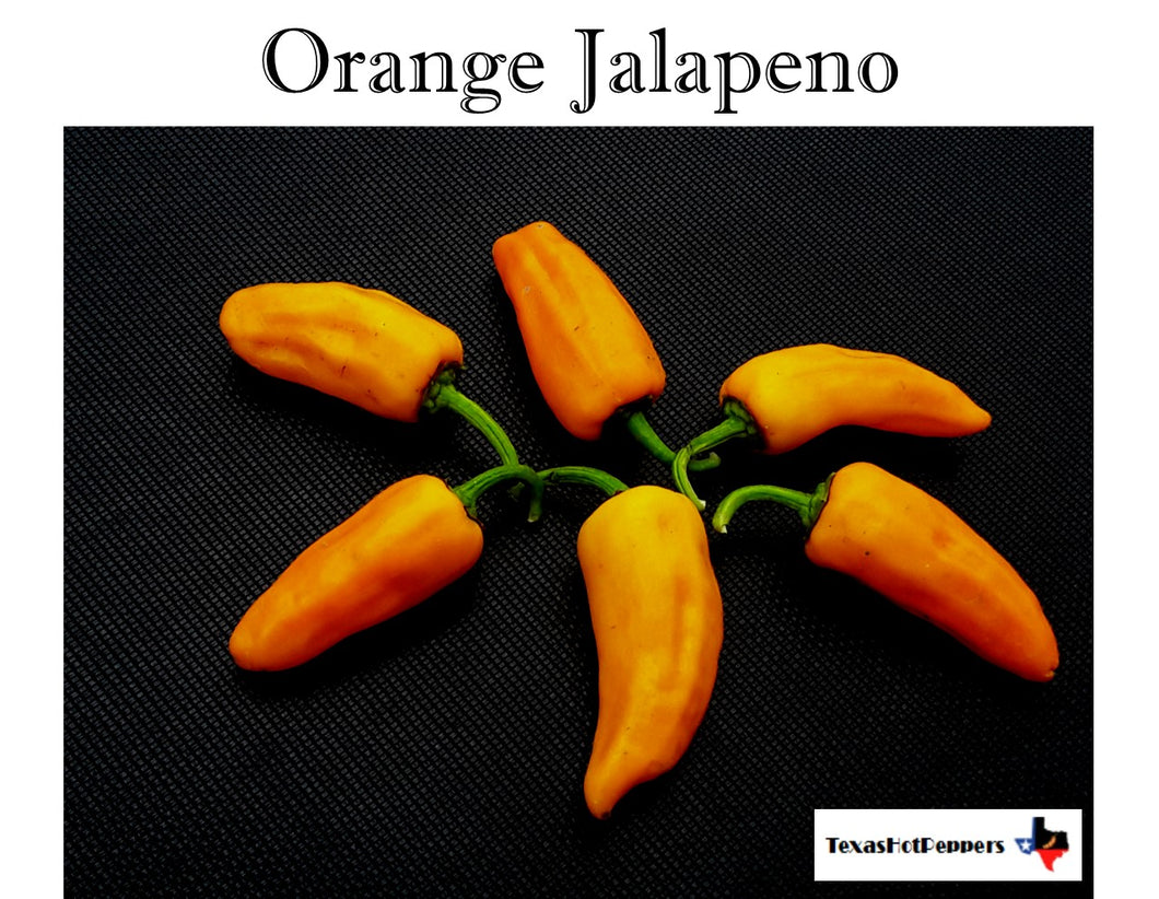 Orange Jalapeno