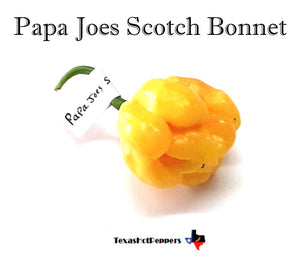 Papa Joes Scotch Bonnet