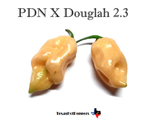 PDN X Douglah 2.3