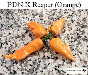 PDN X Reaper (Orange)
