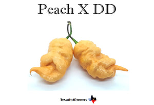 Peach X DD