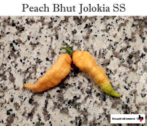 Peach Bhut Jolokia SS