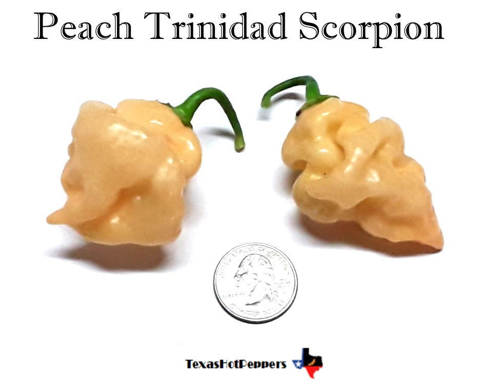 Peach Trinidad Scorpion