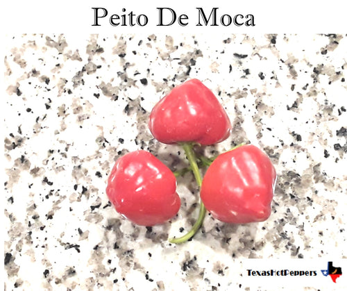 Peito De Moca Seeds