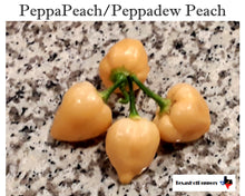 Load image into Gallery viewer, Peppapeach Seeds