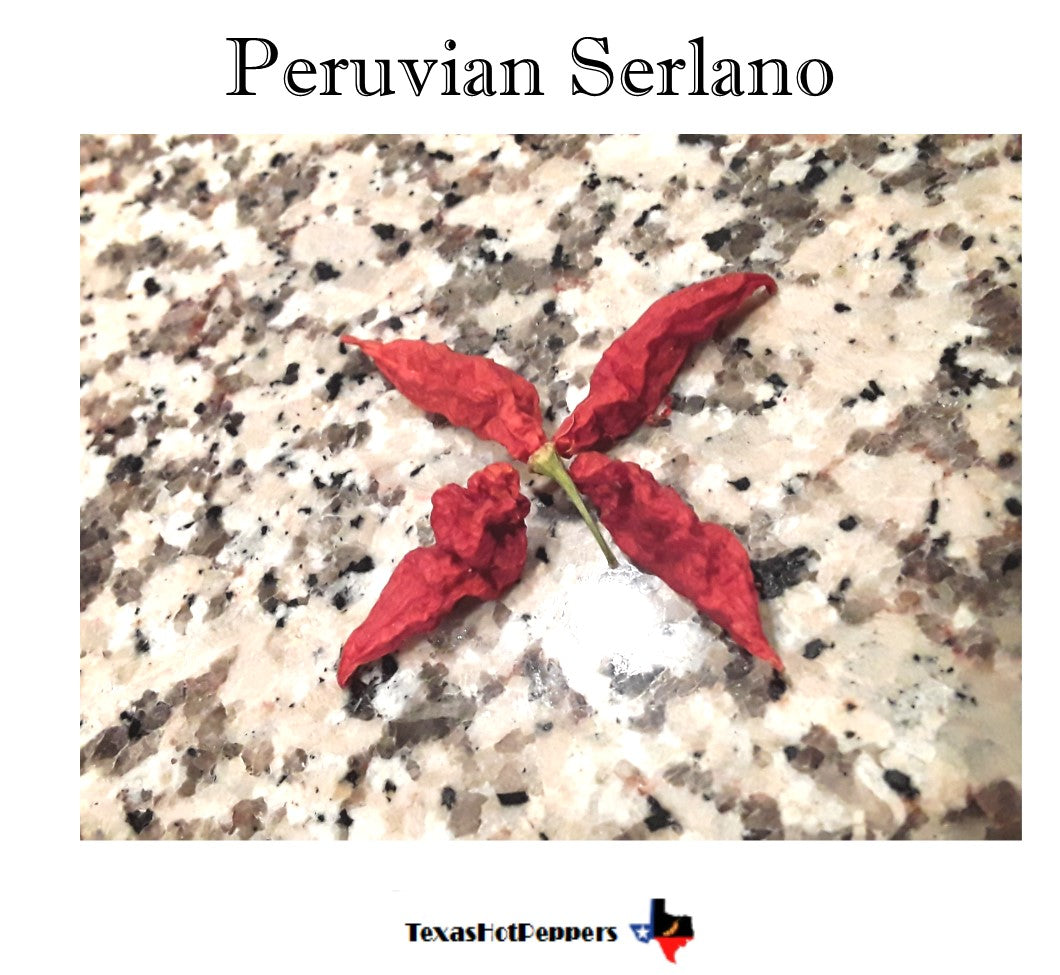 Peruvian Serlano
