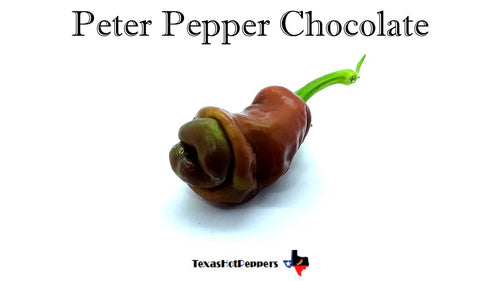 Peter Pepper Chocolate