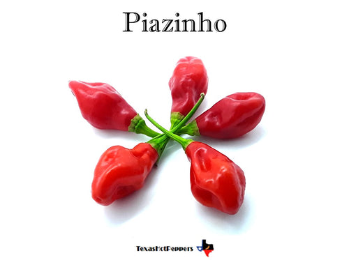 Piazinho