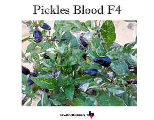 Pickles Blood F4