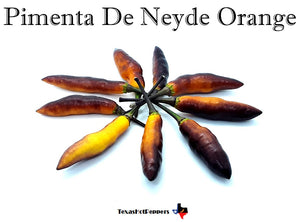 Pimenta De Neyde Orange