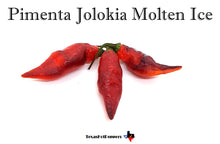 Load image into Gallery viewer, Pimenta Jolokia Molten Ice