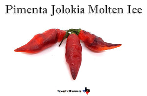 Pimenta Jolokia Molten Ice