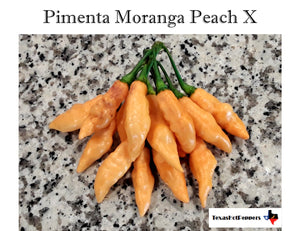 Pimenta Moranga Peach X