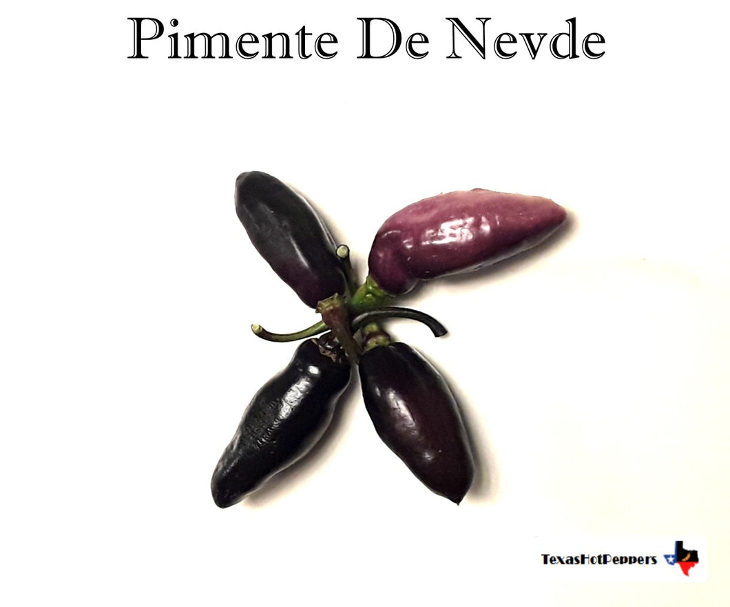 Pimenta De Neyde