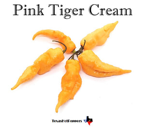 Pink Tiger Cream