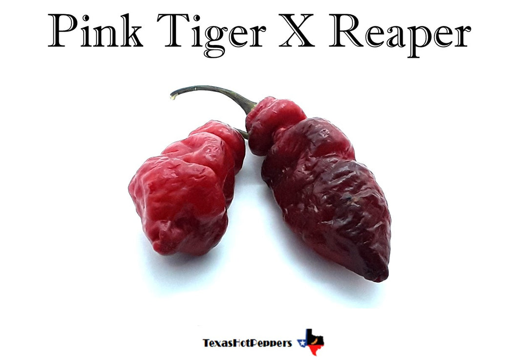 Pink Tiger X Reaper