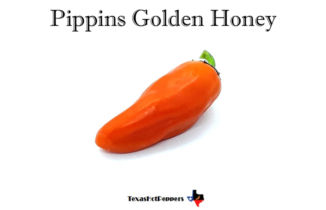 Pippins Golden Honey