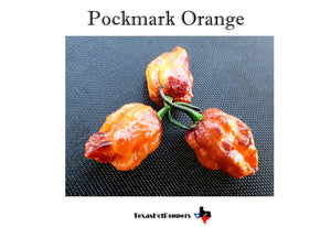 Pockmark Orange