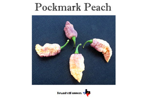 Pockmark Peach
