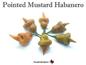 Pointed Mustard Habanero