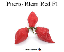 Load image into Gallery viewer, Puerto Rican Red F1