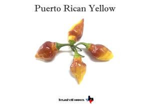 Puerto Rican Yellow