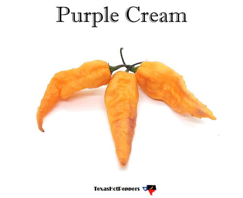 Purple Cream