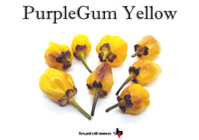 Load image into Gallery viewer, PurpleGum Yellow