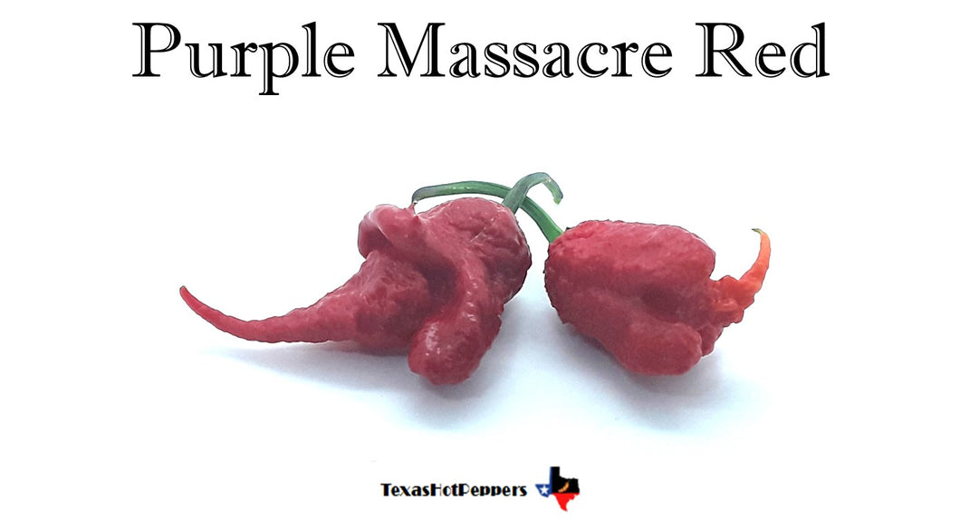 Purple Massacre Red