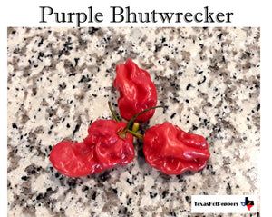 Purple Bhutwrecker