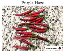 Load image into Gallery viewer, Purple Haze Seeds