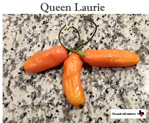 Queen Laurie