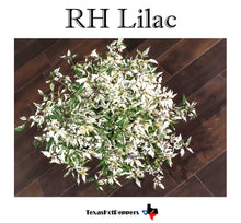 Load image into Gallery viewer, RH Lilac