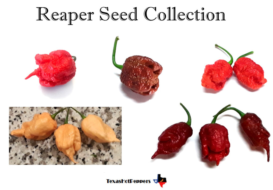 Reaper Seed Collection - 12 Diff Varieties