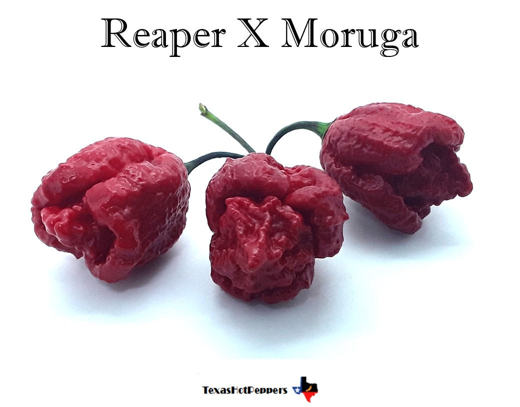 Reaper X Moruga