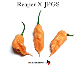 Reaper X JPGS