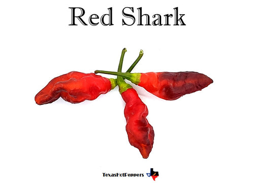 Red Shark