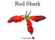 Red Shark