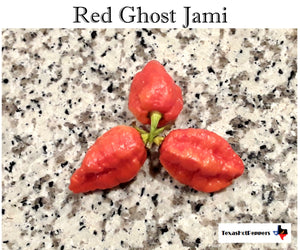 Red Ghost Jami