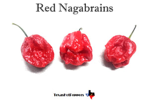 Red Nagabrains Seeds